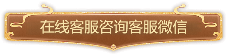在线客服咨询客服微信